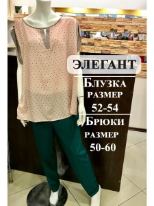 CPFP9523 — копия