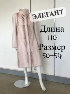 IMG_8145