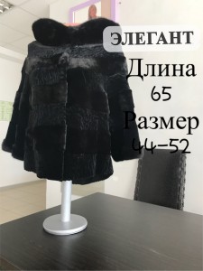 IMG_8146